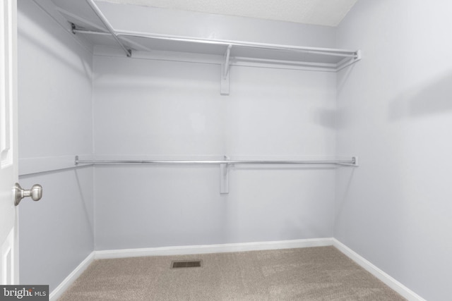 spacious closet featuring carpet