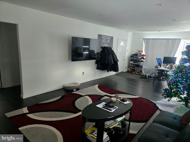 living room featuring dark hardwood / wood-style flooring