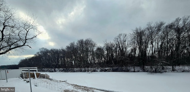 view of yard covered in snow