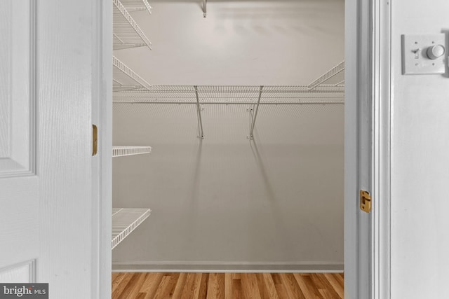 walk in closet with wood-type flooring