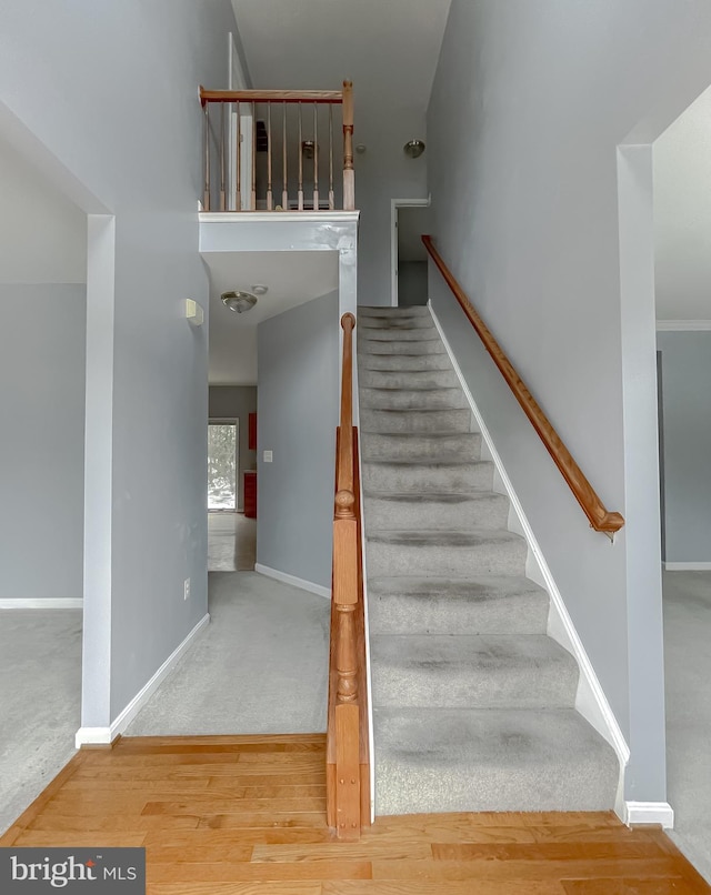 stairway with wood-type flooring