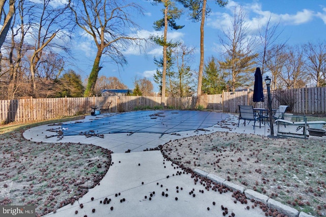 view of pool featuring a patio