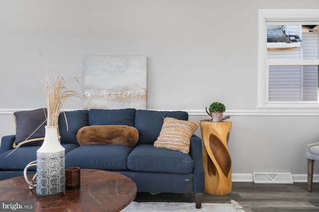 living room featuring wood-type flooring