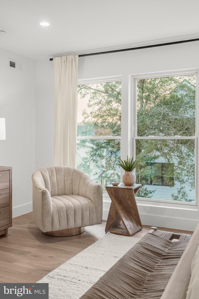 living area featuring light hardwood / wood-style floors and a wealth of natural light