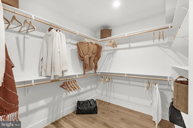 spacious closet featuring wood-type flooring