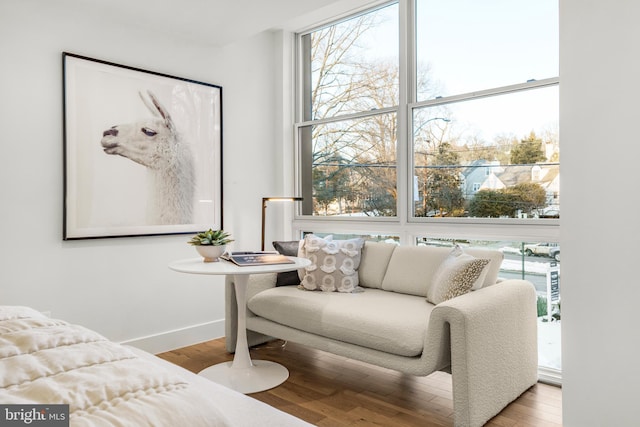 living room featuring expansive windows and light hardwood / wood-style floors