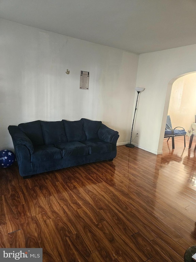 living room with dark hardwood / wood-style flooring