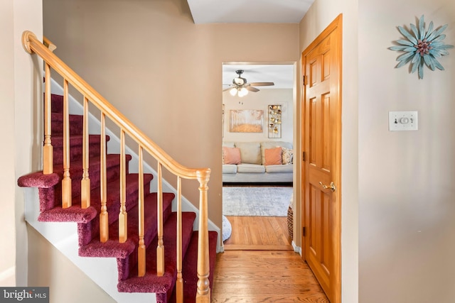 staircase featuring hardwood / wood-style flooring and ceiling fan