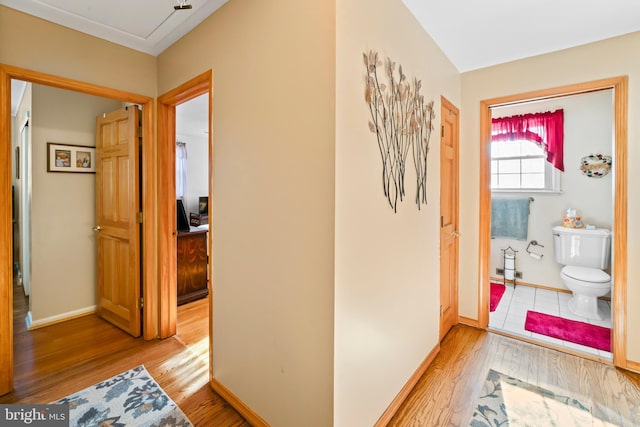 hall featuring wood-type flooring