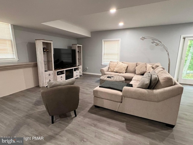 living room featuring hardwood / wood-style floors