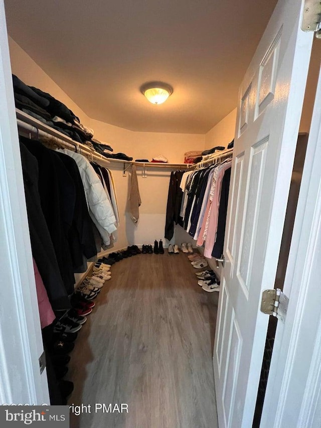 spacious closet with wood-type flooring