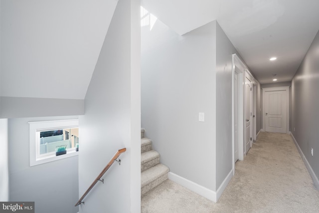 staircase with carpet floors