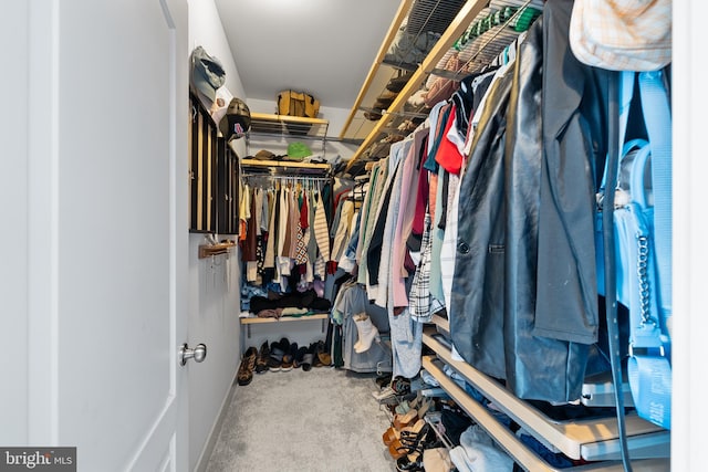 spacious closet with carpet flooring