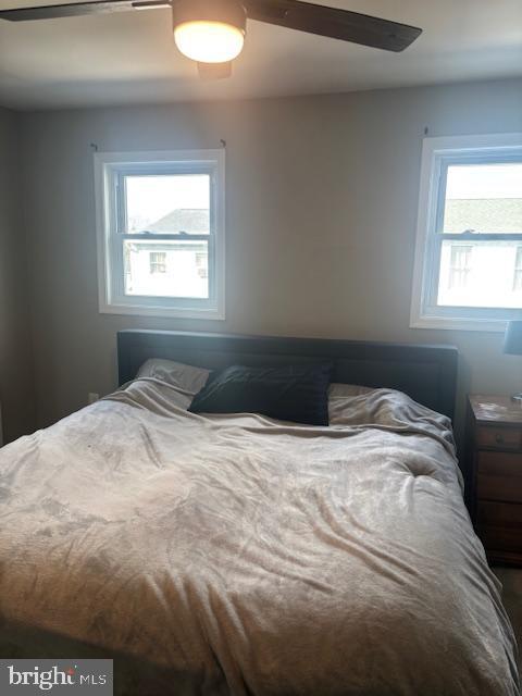 bedroom featuring multiple windows and ceiling fan