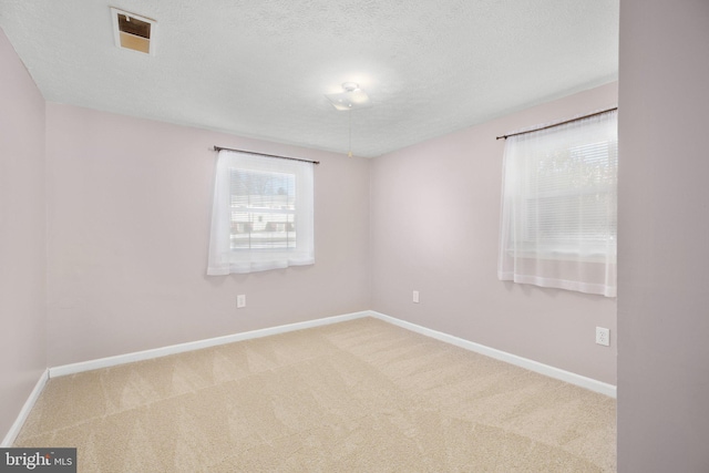 carpeted empty room featuring a textured ceiling and a wealth of natural light