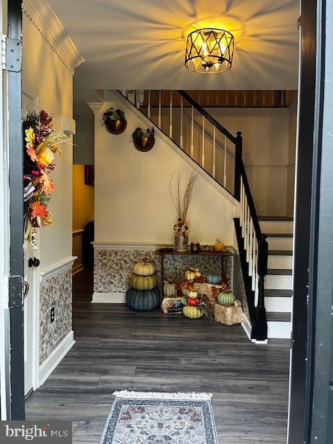 staircase with hardwood / wood-style floors