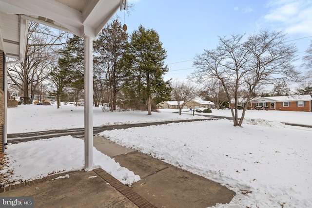 view of yard layered in snow