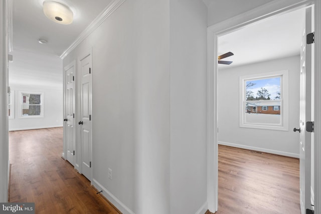 hall featuring crown molding, plenty of natural light, and wood-type flooring