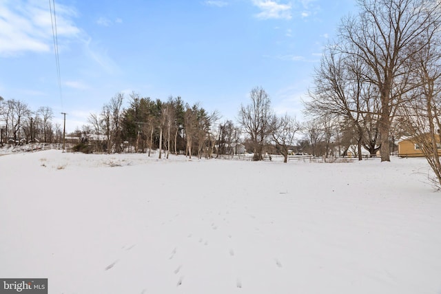 view of yard covered in snow