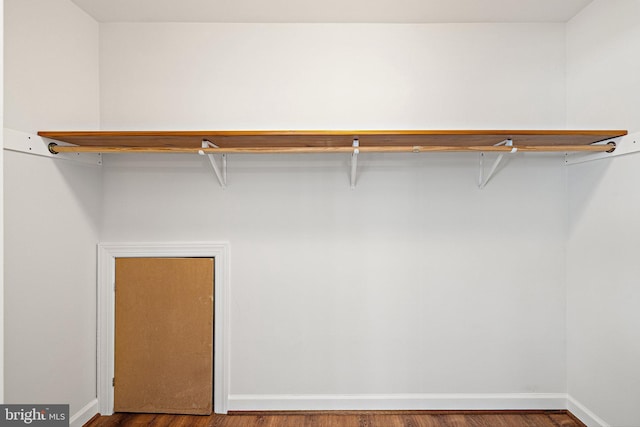 walk in closet with wood-type flooring