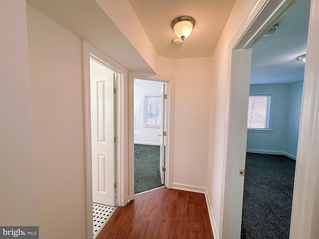 corridor with dark wood-type flooring