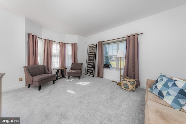 living area featuring carpet floors