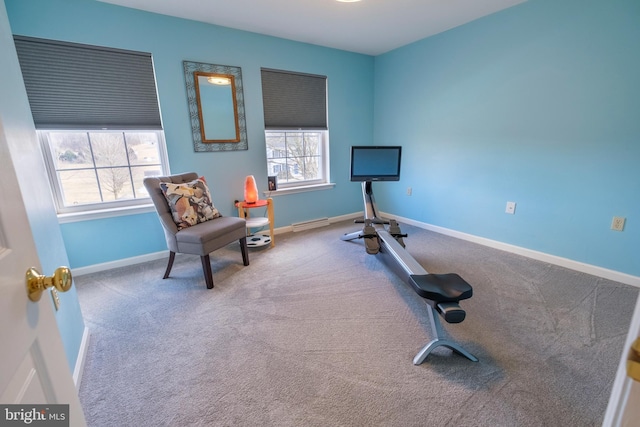 workout room featuring carpet floors and a wealth of natural light