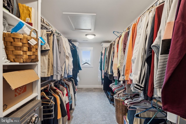 walk in closet with carpet flooring