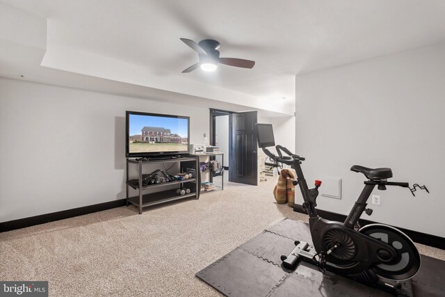 workout room featuring ceiling fan and carpet floors