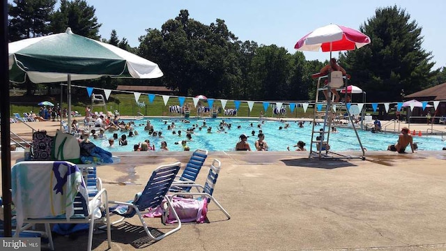 view of swimming pool