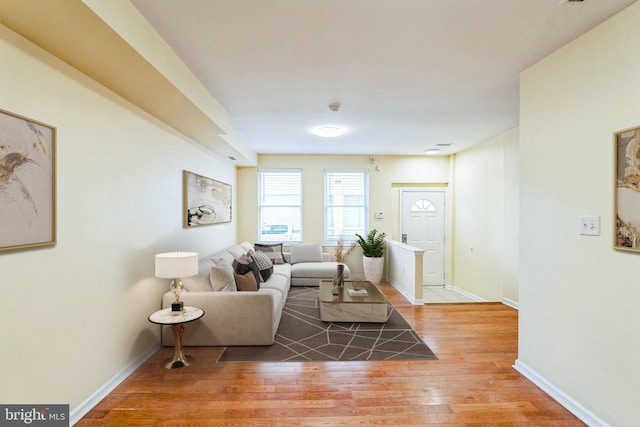 living room featuring wood-type flooring