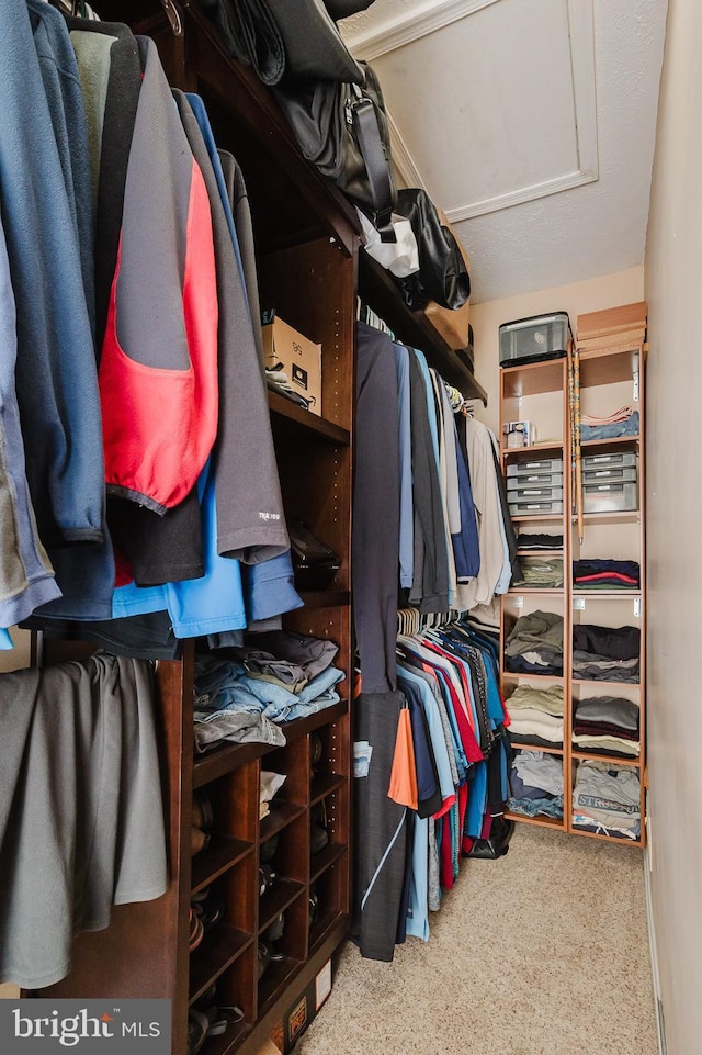 spacious closet featuring light carpet