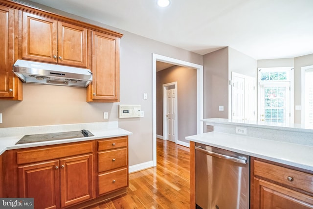 kitchen featuring dishwasher, black electric cooktop, and light hardwood / wood-style flooring