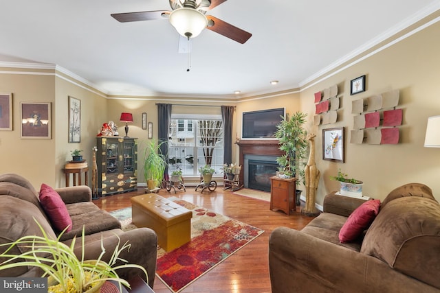 living room featuring hardwood / wood-style floors, ceiling fan, and crown molding