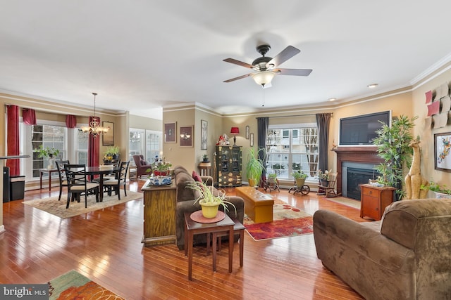 living room with ceiling fan with notable chandelier, crown molding, a wealth of natural light, and light hardwood / wood-style flooring