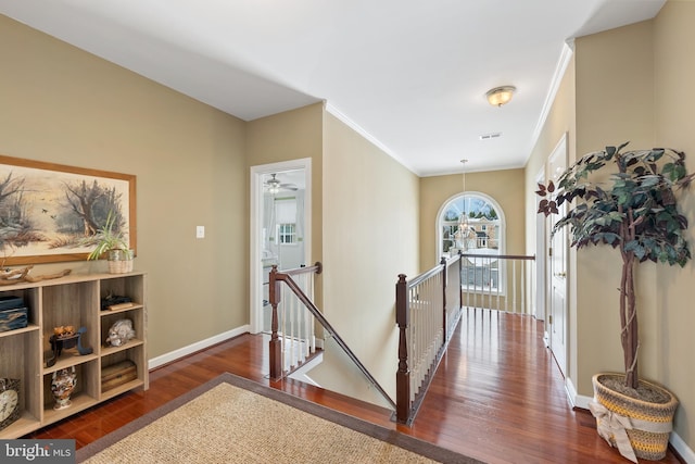 hallway featuring dark hardwood / wood-style flooring and crown molding