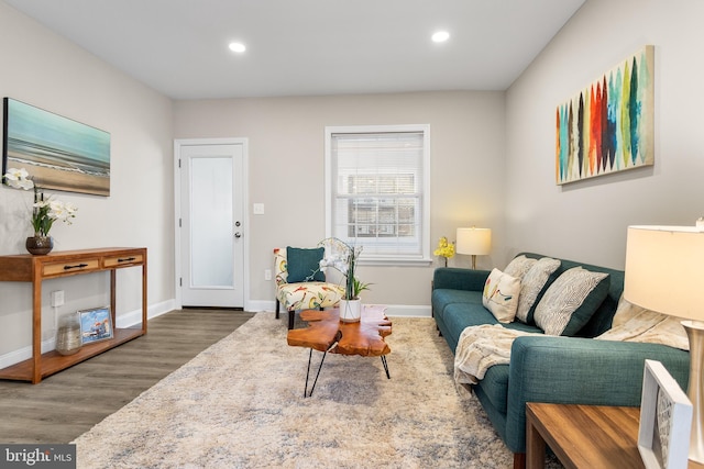 living room with dark hardwood / wood-style floors