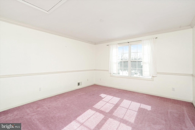 spare room with carpet floors and crown molding