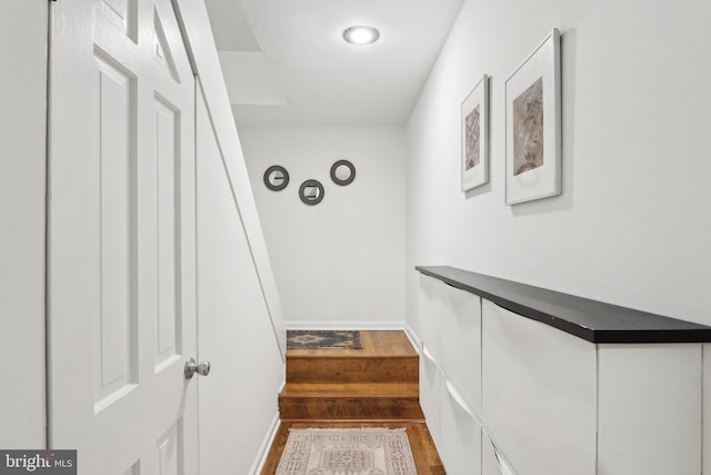 corridor with dark hardwood / wood-style floors