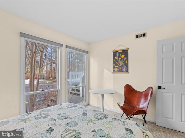 view of carpeted bedroom