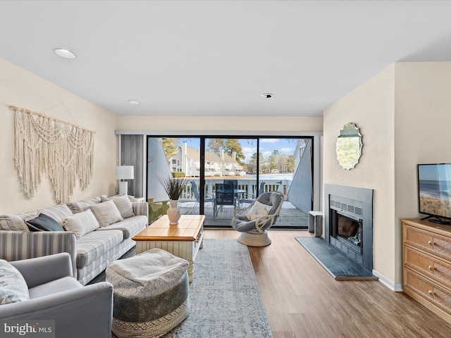 living room with hardwood / wood-style flooring