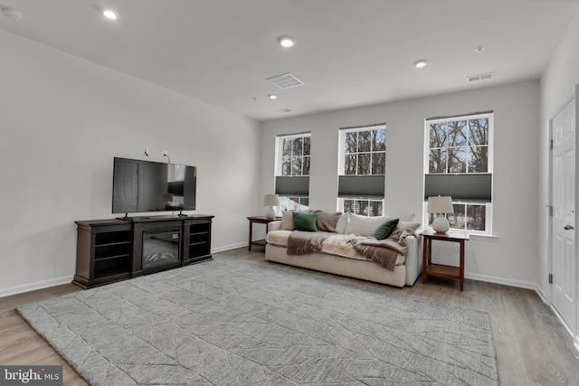 living room featuring a fireplace and light hardwood / wood-style flooring