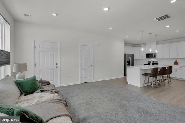 living room featuring wood-type flooring and sink