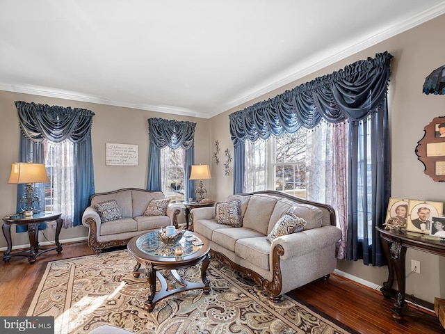 living room featuring ornamental molding and hardwood / wood-style flooring