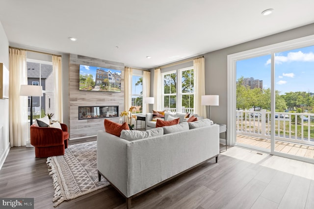 living room with a large fireplace and wood-type flooring