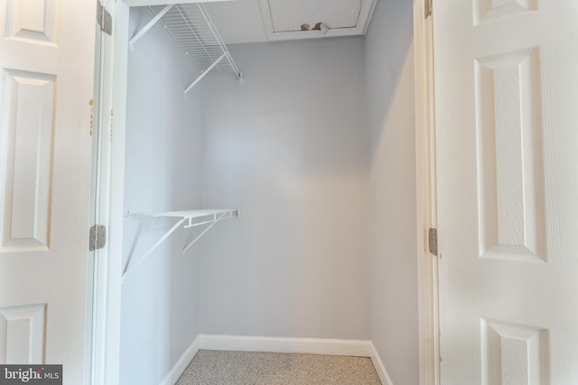 view of walk in closet