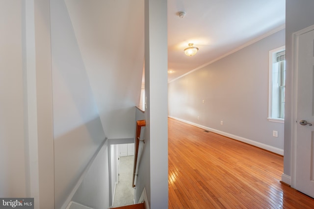 159 N Ellwood Ave, Baltimore, MD 21224 - stairway featuring crown molding, baseboards, and hardwood / wood-style floors