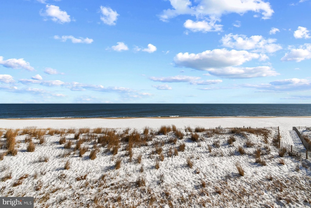 water view featuring a view of the beach