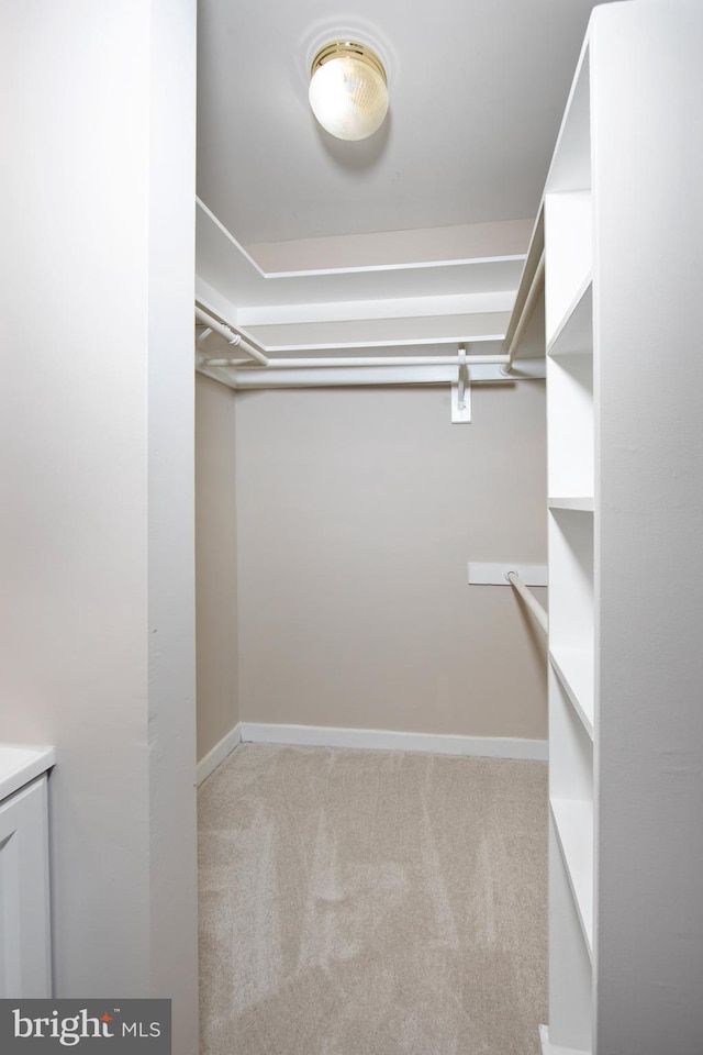 spacious closet with light carpet