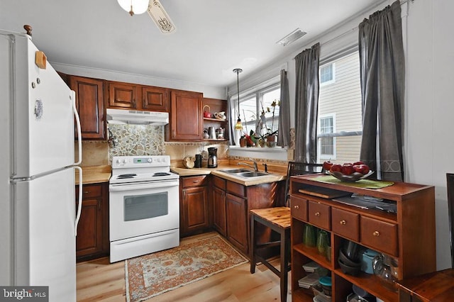 kitchen with sink, light hardwood / wood-style floors, white appliances, and tasteful backsplash